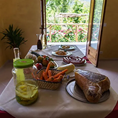 לינה וארוחת בוקר Haidi House 3*